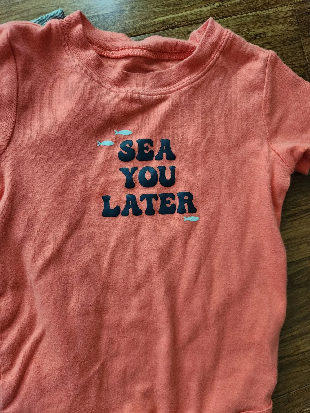Garanimals set bodysuits